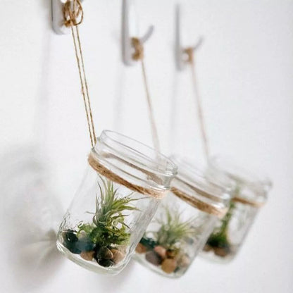 6pz Frasco Vidrio Mason Jars Ball 8oz Tarro Envase Tapa