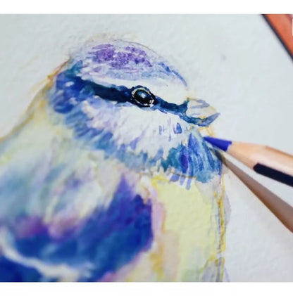 Block Papel Acuarela Canson Grano Fino Montval 29.7x42cm 12h