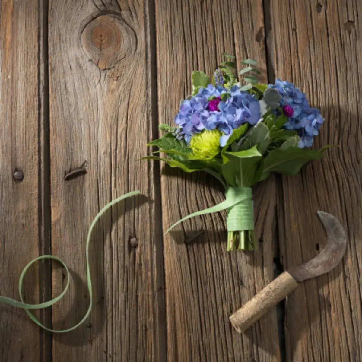 Velcro ® Correa Sujetadora Plantas Cinta Verde 15.2m - Marchante MX