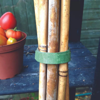 12pz Cinta Guia Plantas Velcro ® Correa Manualidades Jardin