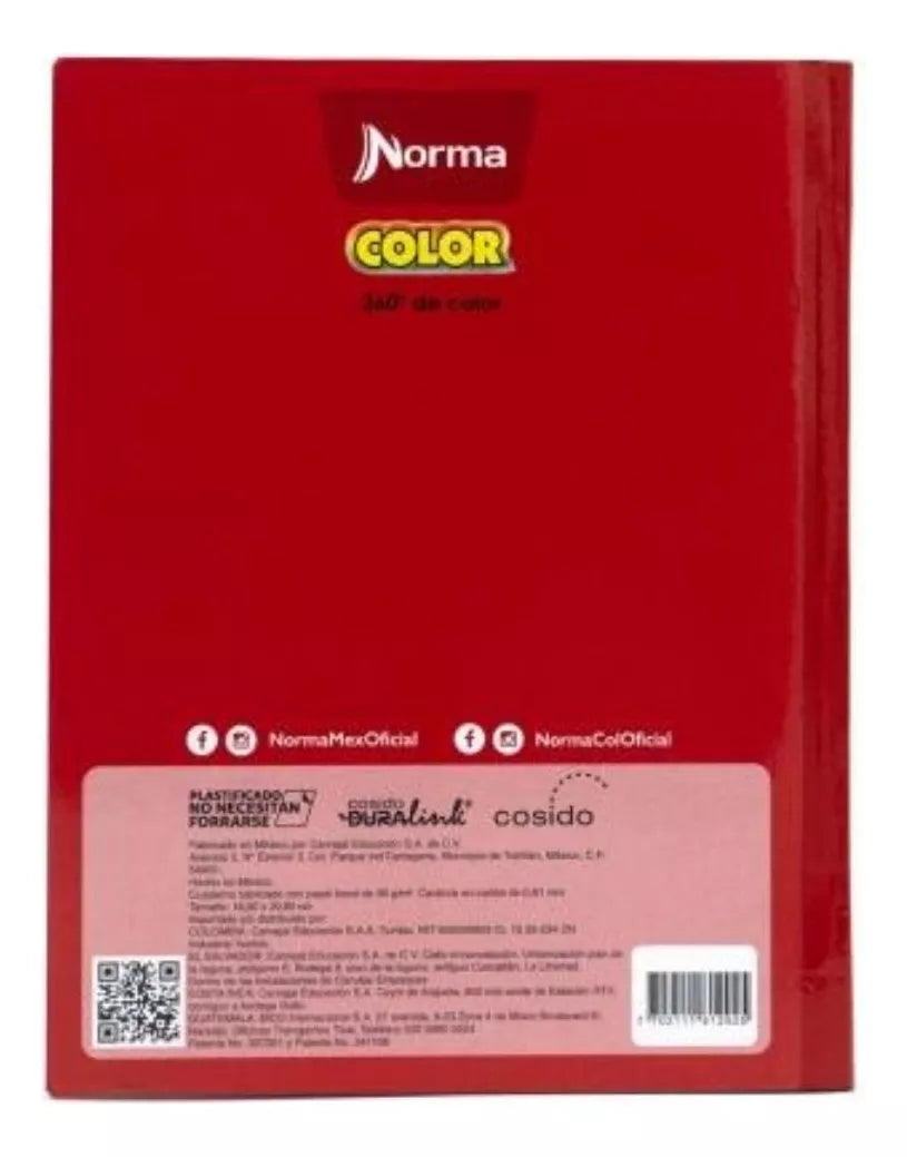 Cuaderno Frances 100hjs Norma Color 360 Cosido Cuadro Grande