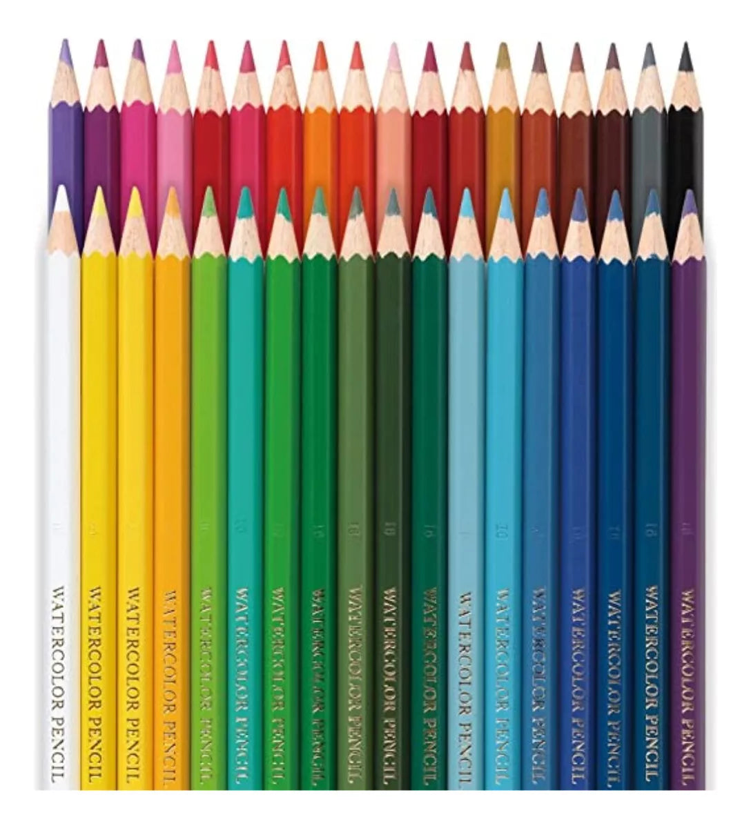 36 Lapiz Color Acuarelable Pentel Arts Profesionales Arte
