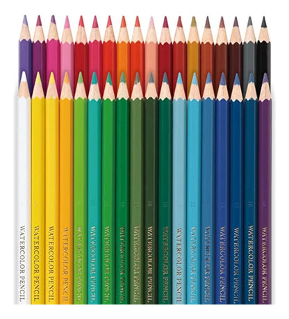 36 Lápiz Color Acuarelable Pentel Arts Profesionales Arte