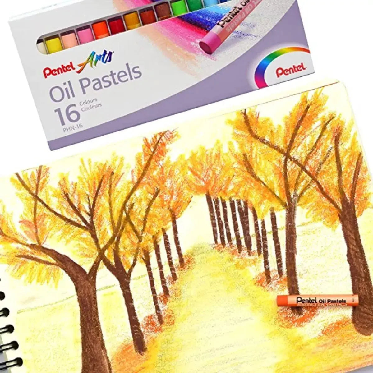 16 Pasteles Gises Tizas Aceite Pentel Arts Redondos Colores - Polvos Holi - empaque