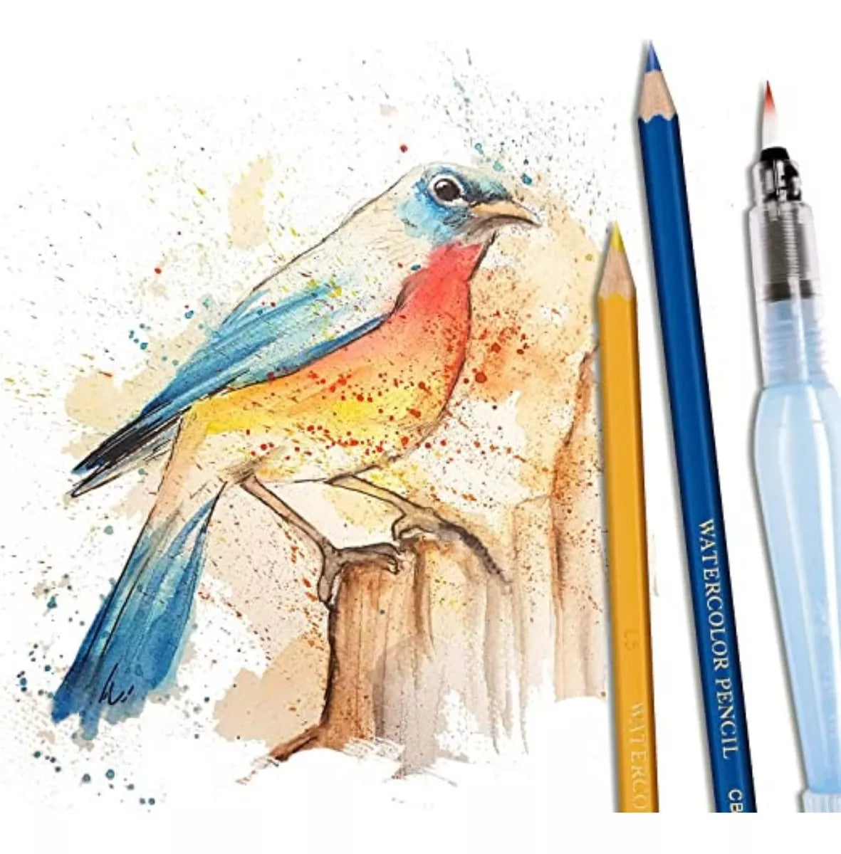 36 Lápiz Color Acuarelable Pentel Arts Profesionales Arte