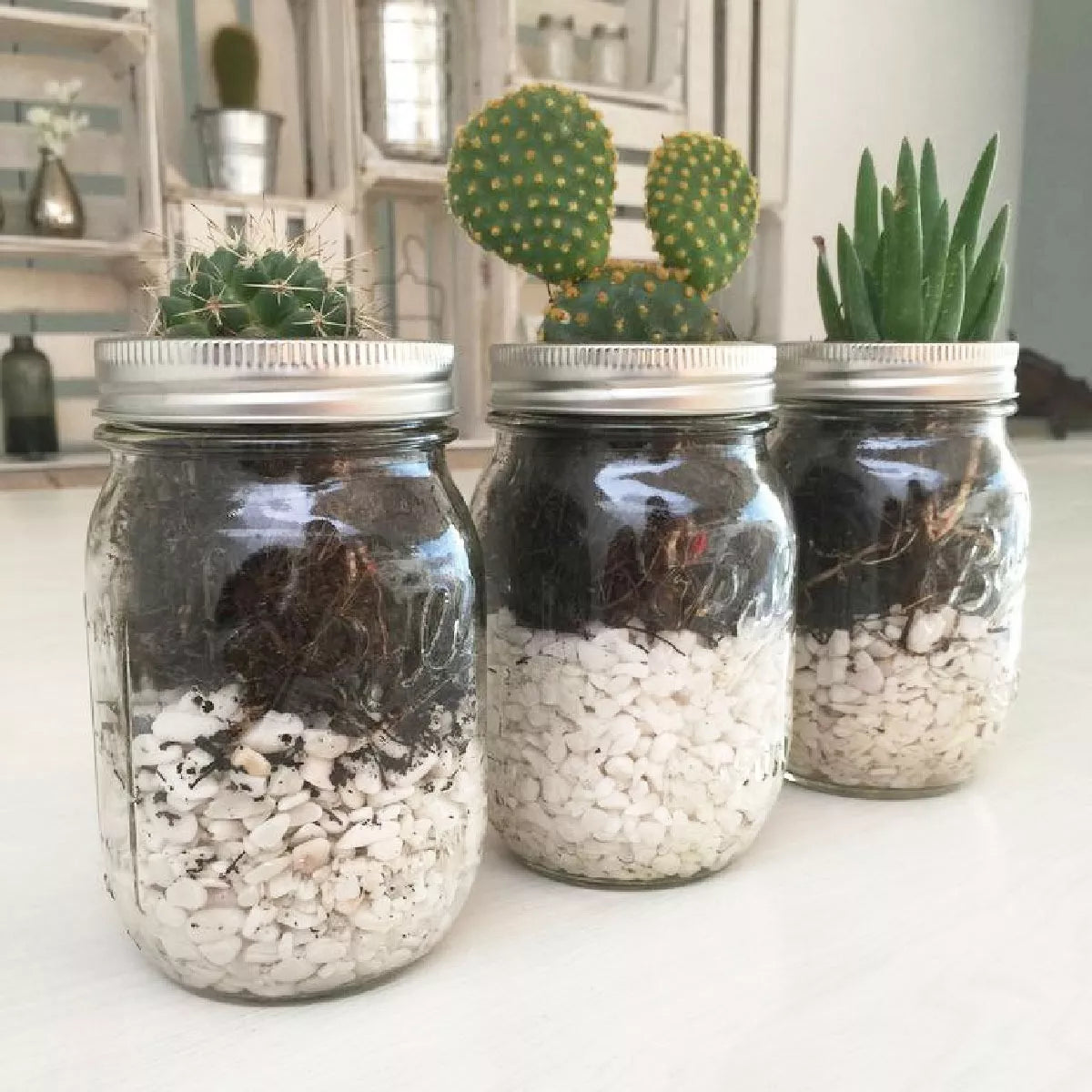 6 Pack Mason Jars Ball 16 Oz (6 Piezas) Boca Regular