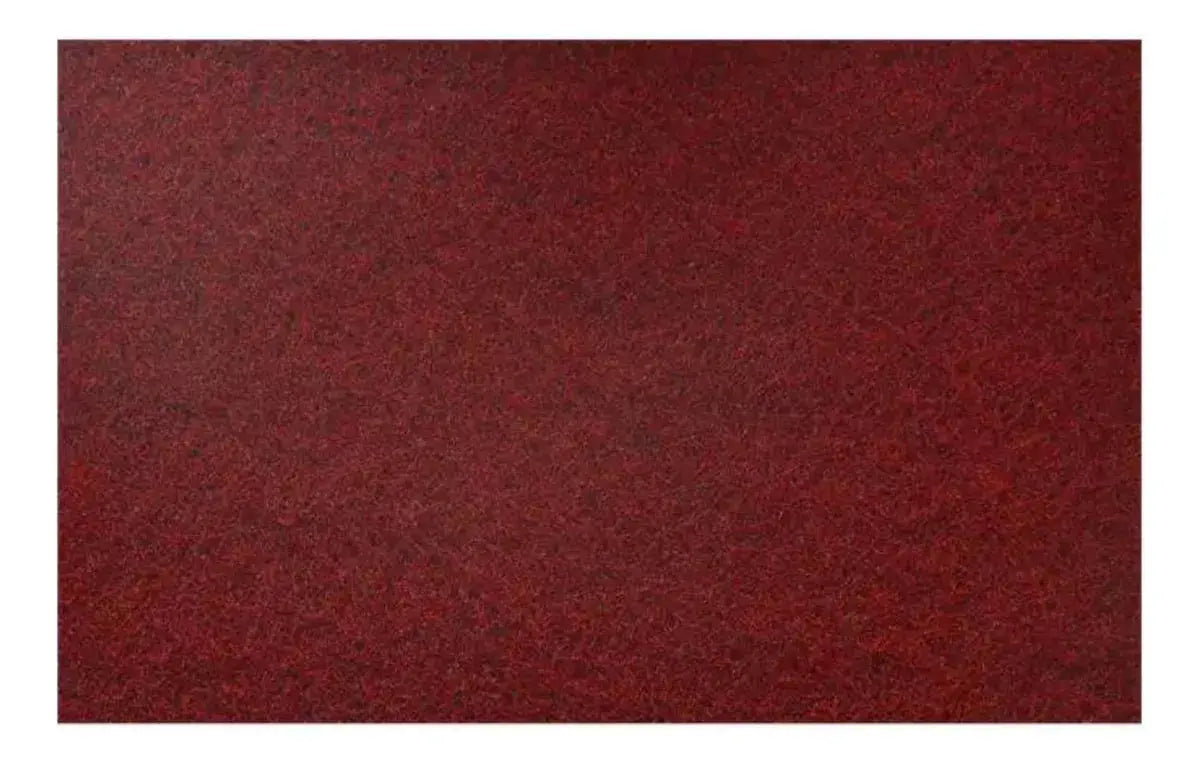 10pz Almohadilla Fibra 601 Tenazit 9'' X 6'' Grano Medio - Marchante MX