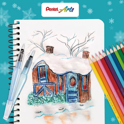 36 Lápiz Color Acuarelable Pentel Arts Profesionales Arte