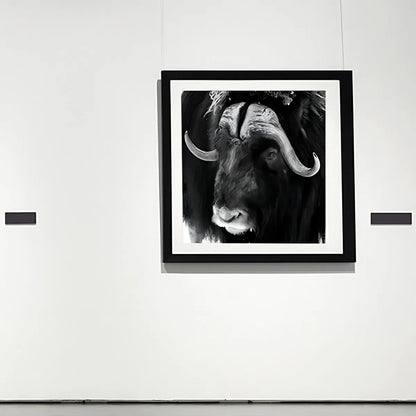 Papel Arte Kronaline Rollo Textur Fuerte 240g Algodón Art300 Color Blanco