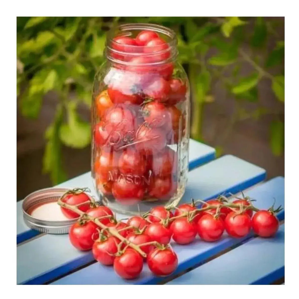 Set 8pz Mason Jars Ball Boca Regular 4 Tamaños - Coveme - vista lateral