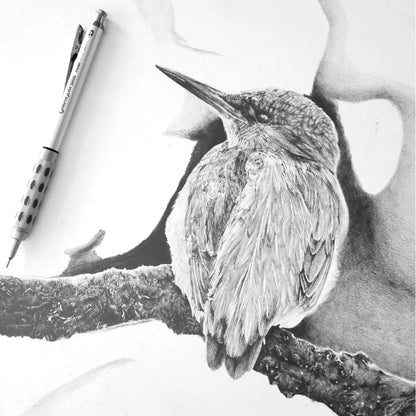 3 Minas Puntillas Lapicero Pentel Super Hi-polymer 0.5mm