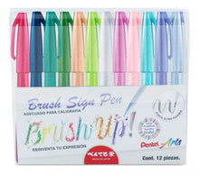 12 Plumas Brushup Pentel Marcador Punta Fieltro Tinta Pastel