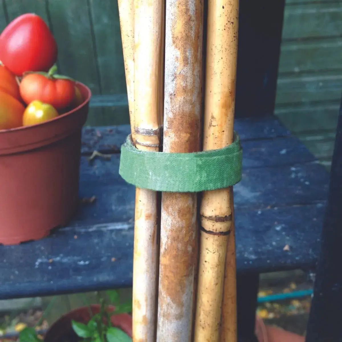 Velcro ® Correa Sujetadora Plantas Cinta Verde 15.2m - Marchante MX