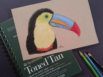 Cuaderno Dibujo Strathmore Toned Tan Block 23 X 30.5cm