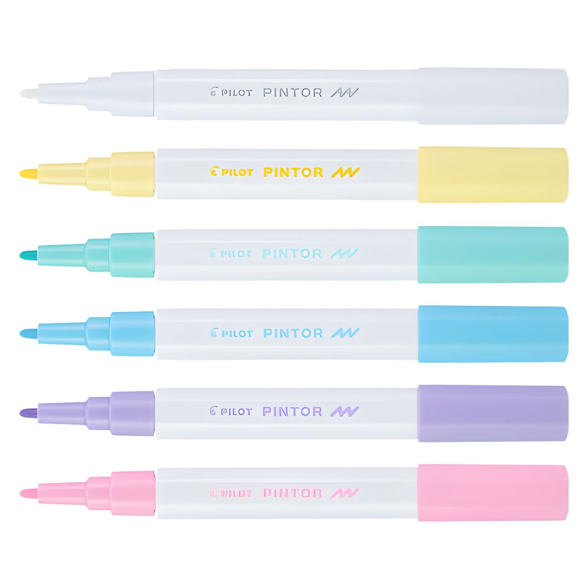 6 Marcadores Creativos Pilot Pintor Punto Fino Color Pastel