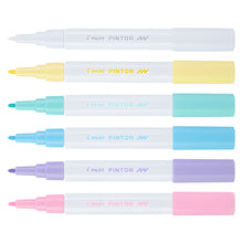 6 Marcadores Creativos Pilot Pintor Punto Fino Color Pastel