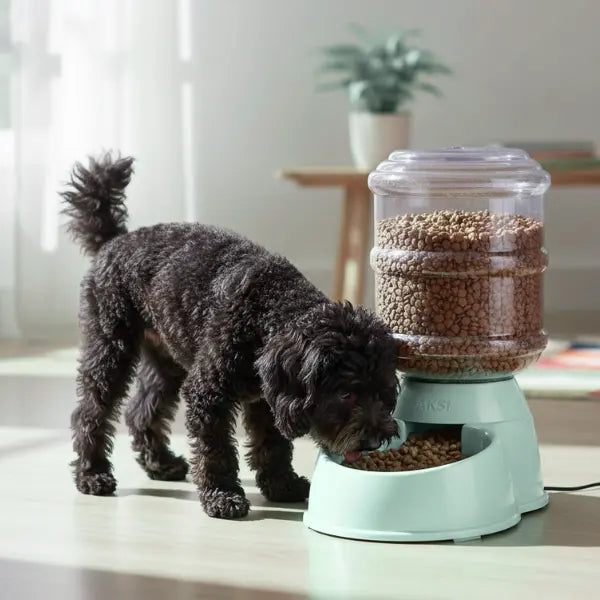 Alimentador Automático AKSI PETIT Mascotas, Dispensador por Gravedad - 3.8L (1 Galón) - Verde Aksi