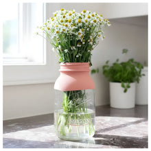 8pz Frasco Mason Jars Ball Vidrio Boca Regular 32oz Original