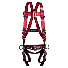 Arnes Posicionamiento Golden Eagle Anillo D Dorsal 6 Puntos