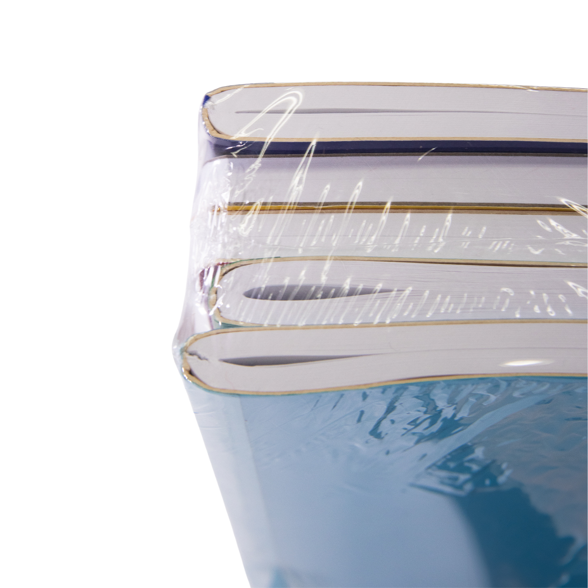 Pack 5 Cuadernos Profesional Cosido Cuadro Grande Dietrix