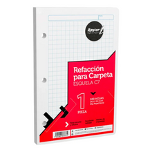 Hojas Repuesto Carpeta Esquela Rayter 300h Perforadas Cuadro Grande