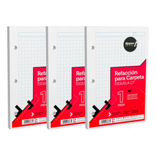 Hojas Repuesto Carpeta Esquela Rayter 300h Perforadas Cuadro Grande