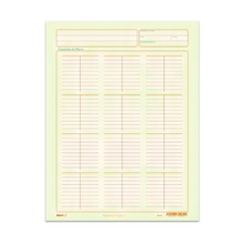 Block 50 Hojas Esquema Mayor Rayter Verde 75g Contabilidad