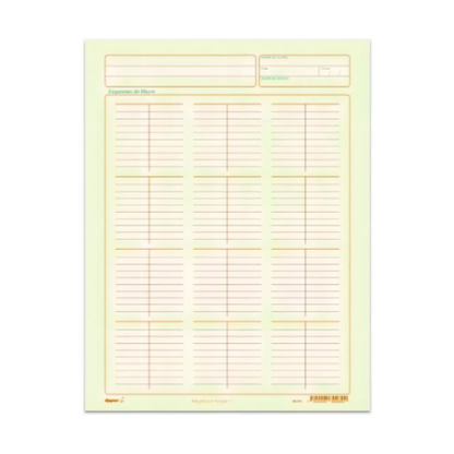 Block 50 Hojas Esquema Mayor Rayter Verde 75g Contabilidad