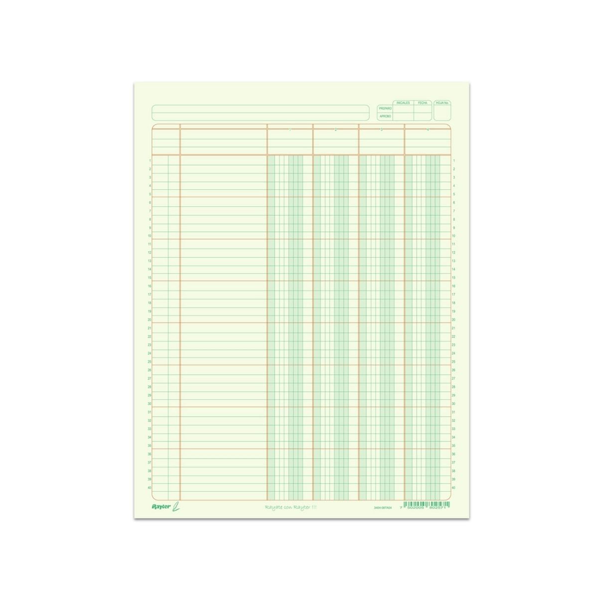 2 Blocks Tabular 4 Columnas Rayter 50 H C/u Verde Contable