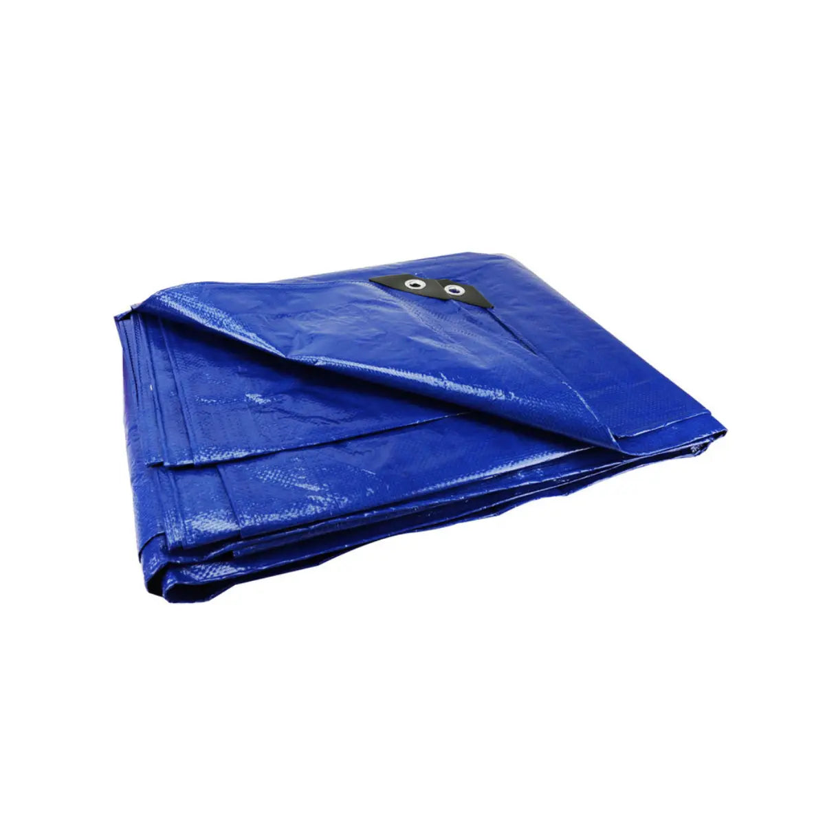 Lona Color Azul 2 x 3 M Santul Santul