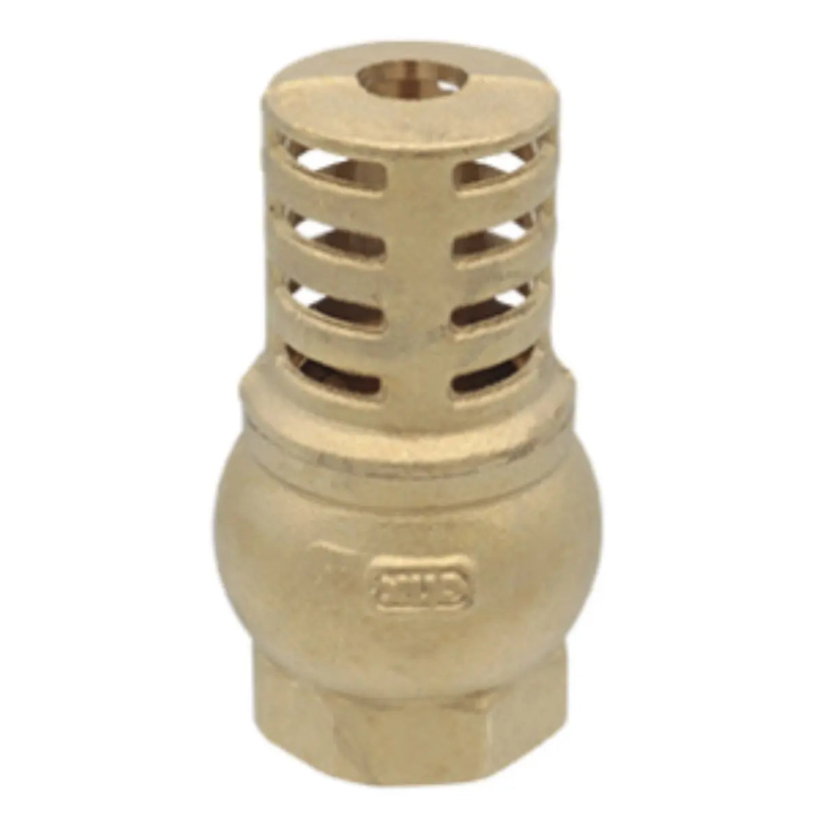 Valvula de Pie 2" CNX Agua Laton CNX