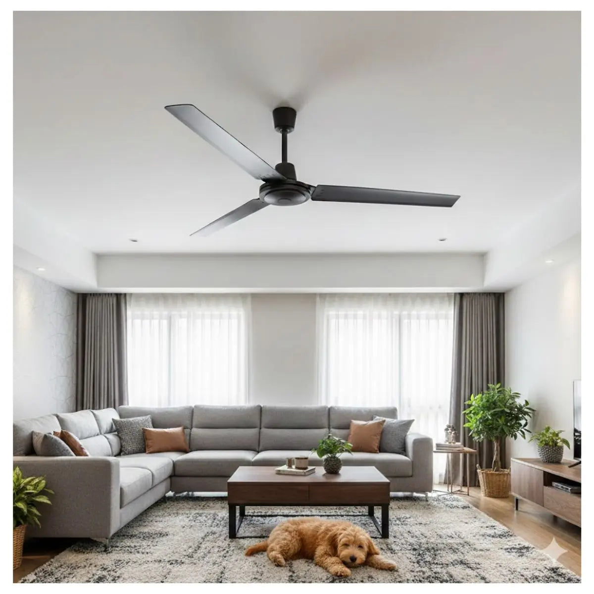 Ventilador De Techo 56" Katoa - CNX - empaque