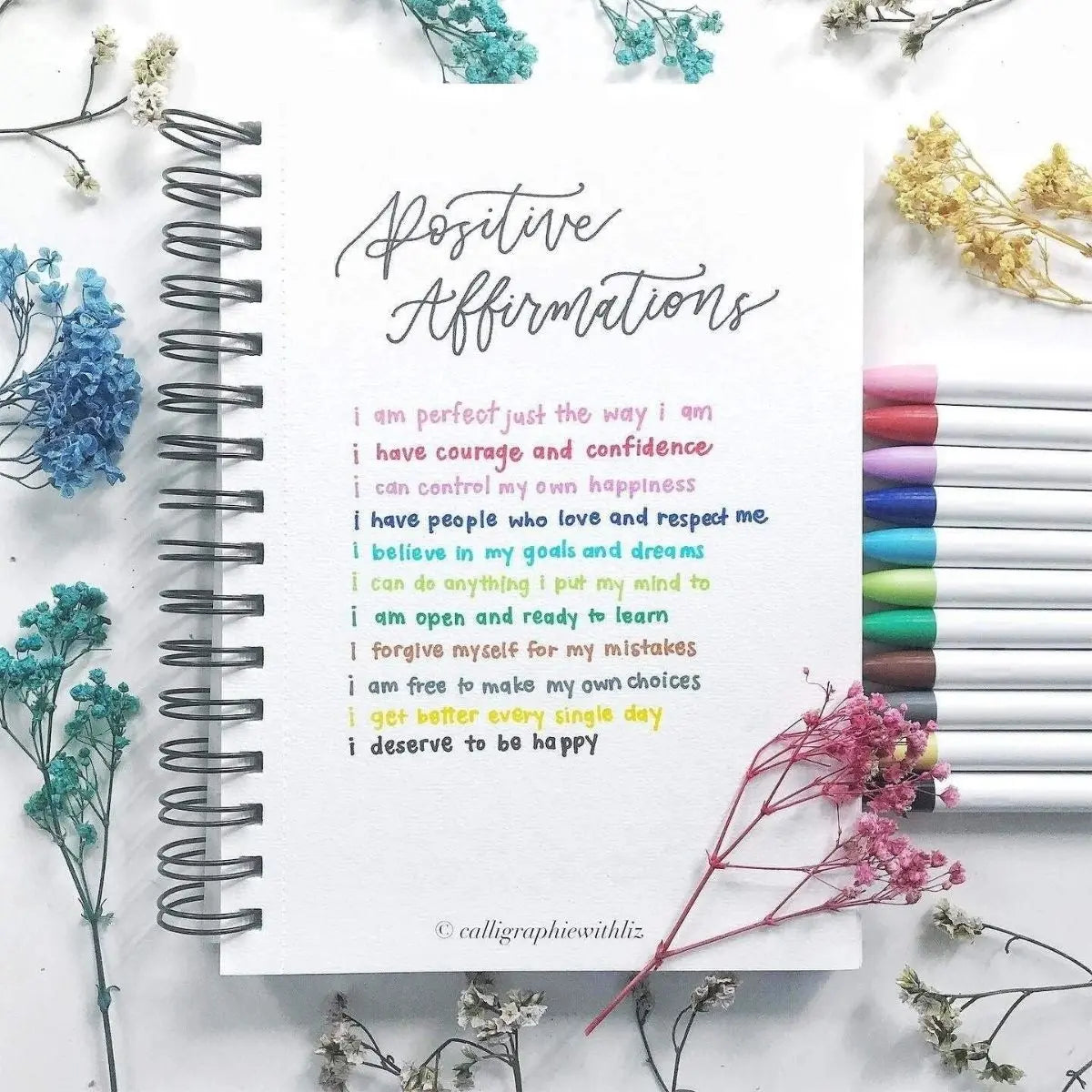 12 Marcadores Clickart Zebra Retractil Punto Fino Base Agua Zebra