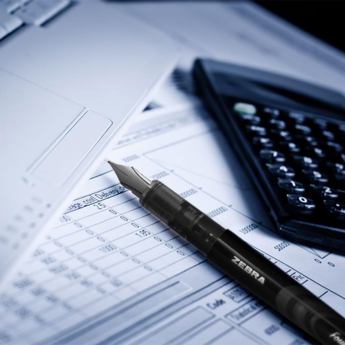 Pack 12 Pluma Fuente Z Fountain Pen Zebra Punta Metal Negro