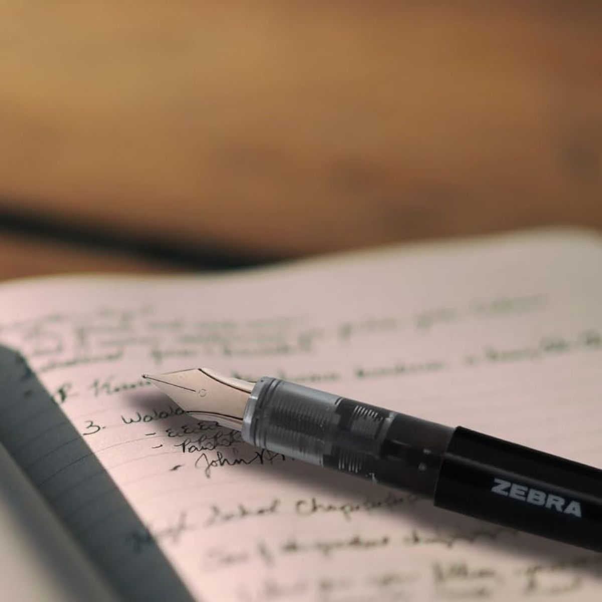 Pack 12 Pluma Fuente Z Fountain Pen Zebra Punta Metal Azul