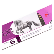 Estuche Con Lápices De Carboncillo - MarchanteMX