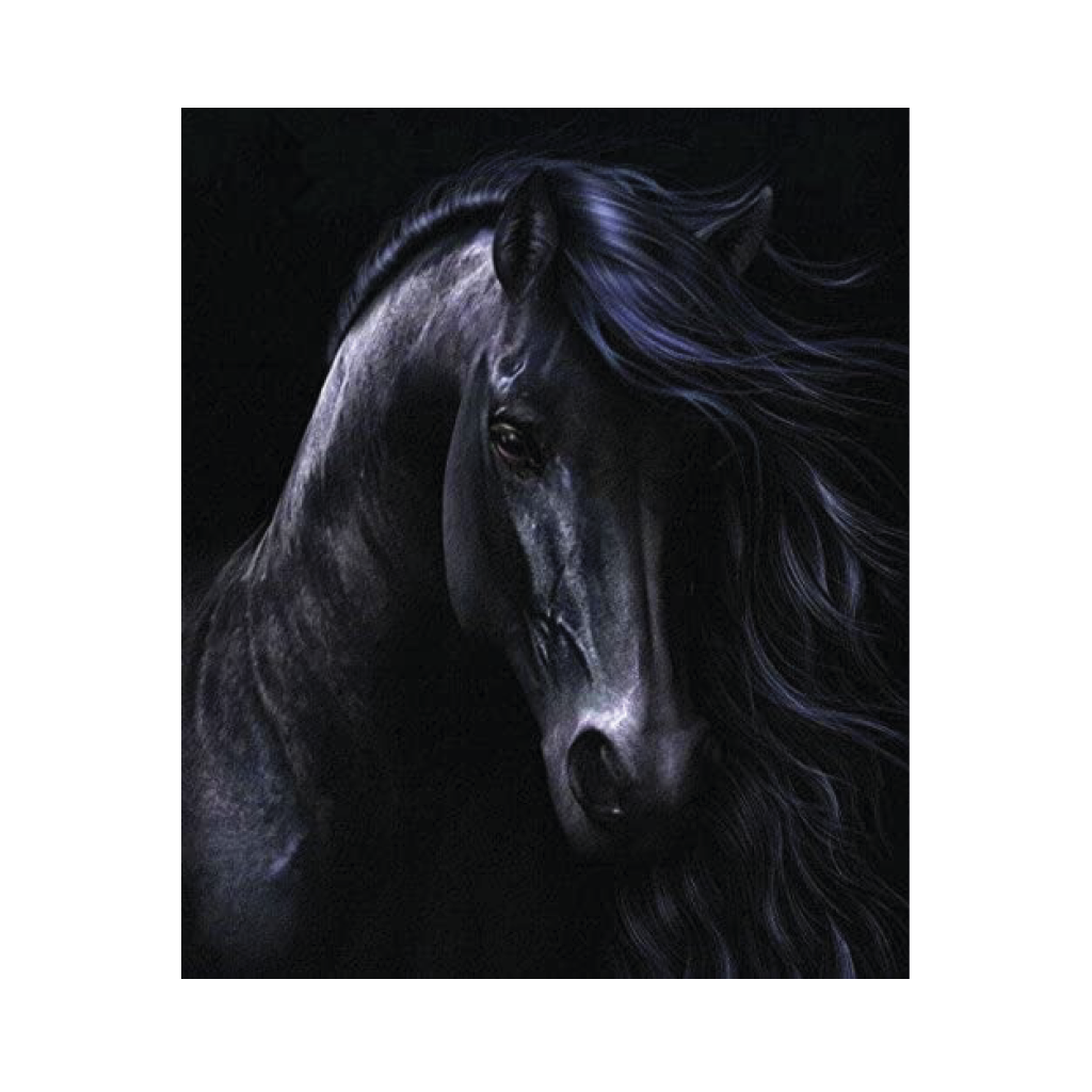 ARTE DIAMANTE CABALLO NEGRO 40X50