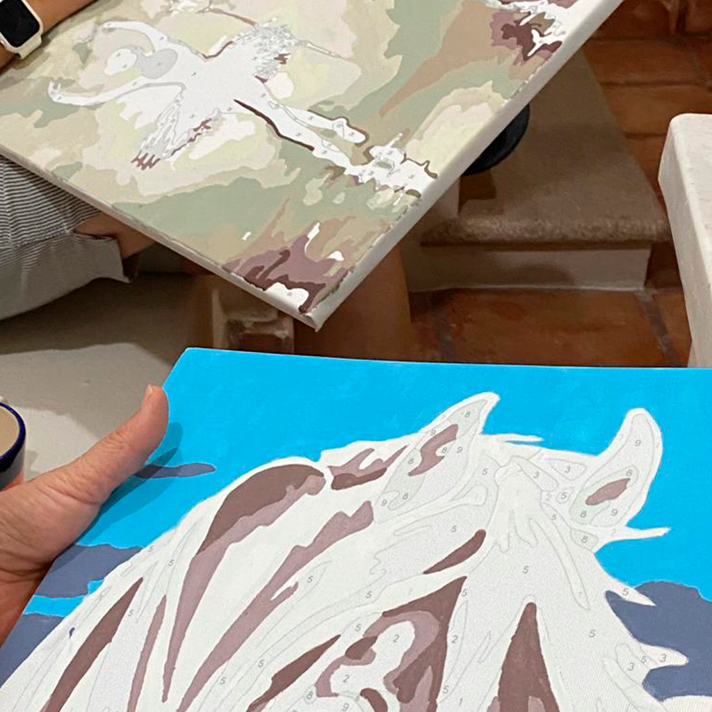 PINTA POR NUMERO 30 x 40 CABALLO BLANCO