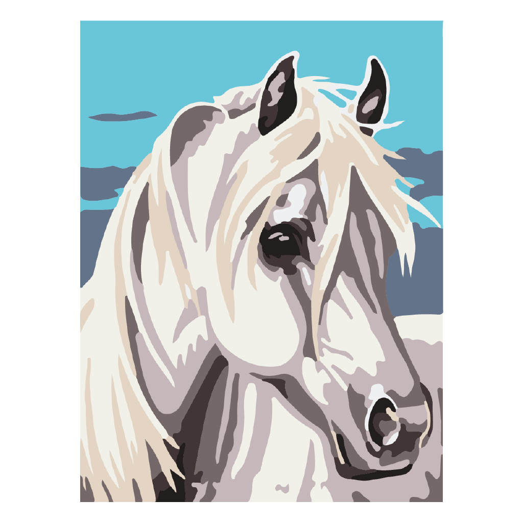 PINTA POR NUMERO 30 x 40 CABALLO BLANCO
