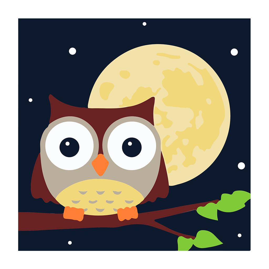 PINTA POR NÚMERO KIDS 21X21  BÚHO Y LUNA