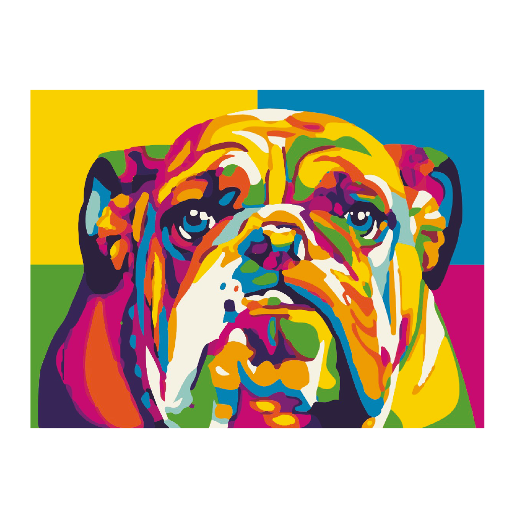 PINTA POR NÚMERO 30X40 BULLDOG MULTICOLOR