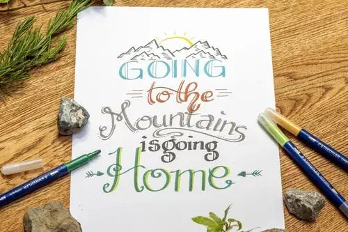 Marcador Plumón Caligrafía De Doble Punta Staedtler 12 Pieza Color Make