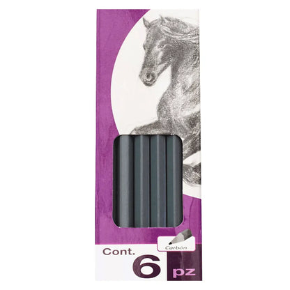 Lápiz Carbón Duro de Madera 6 Piezas Dibujo Trazo Diseño - Rodin