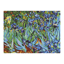 PINTA POR NÚMERO 30X40 LIRIOS