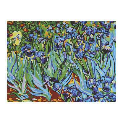 PINTA POR NÚMERO 30X40 LIRIOS