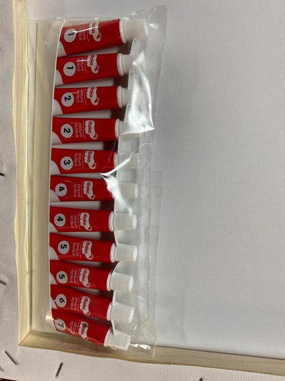 PINTA POR NÚMERO PUEBLO MÁGICO 40X50