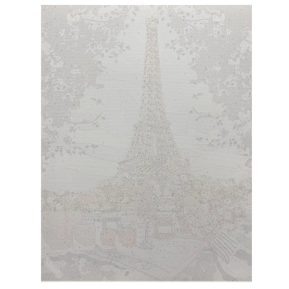 PINTA POR NÚMERO SALUD PARIS 40 X 50 - Diako