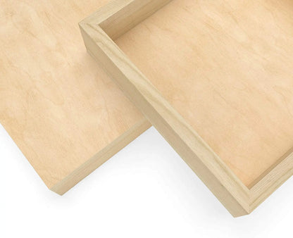 Set de 5 Lienzo Madera Canvas Bastidor Pintura 20x20 Arteza - Coveme